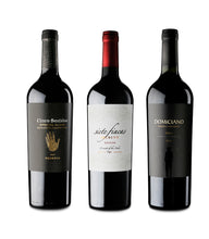 Load image into Gallery viewer, PACK WINES TOP MALBEC | 6 units