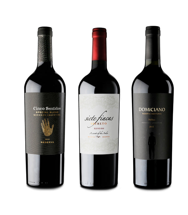 PACK WINES TOP MALBEC | 6 units
